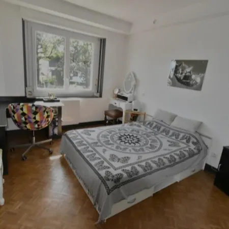 Renial40